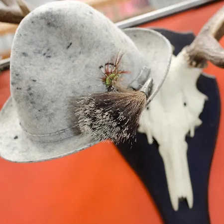 Basecamp Vandrarhem *