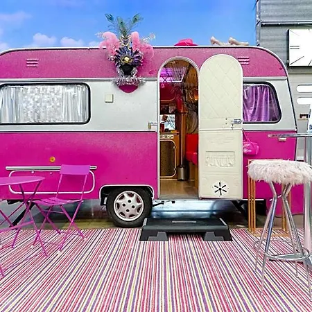 Basecamp * בון