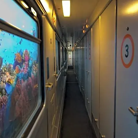 Basecamp בון