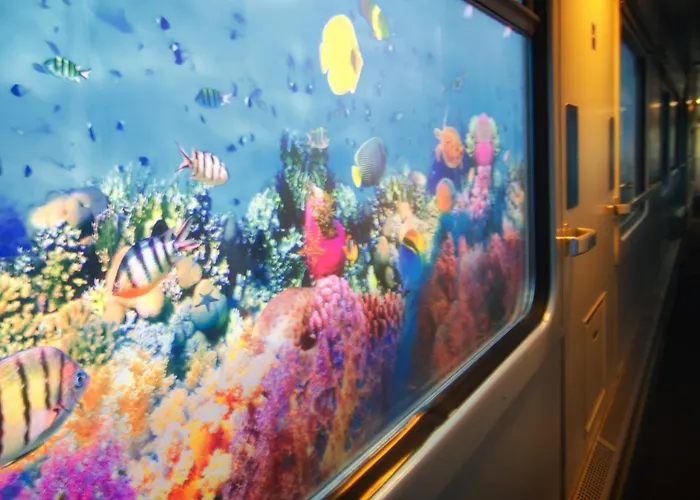 بايز كامب بيت شباب *